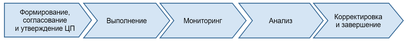 Система управления целевыми программами ФОРМАТ. Процессы управления целевой программой